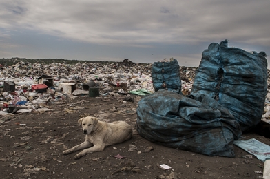 Армавирская область: работающие на мусорной свалке и замусоренный водовод