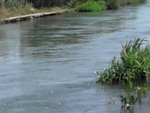 В Араратской области 2-летний ребенок упал в канал