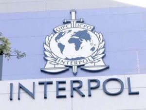 В Грузии задержан азербайджанец по запросу Интерпола