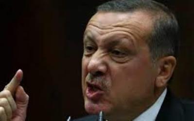 Турция не признает оккупацию Крыма и будет всячески поддерживать крымских татар - Эрдоган