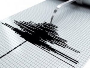 Мощное землетрясение произошло в Южной Корее
