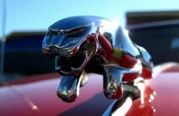 В Петербурге сожгли Jaguar, купленный в кредит безработной девушкой