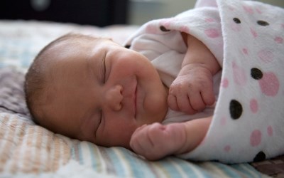 В Воронеже родился Сталин