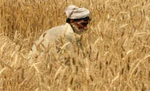 Правительство Пакистана раздаст фермерам 5 млн смартфонов