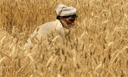 Правительство Пакистана раздаст фермерам 5 млн смартфонов