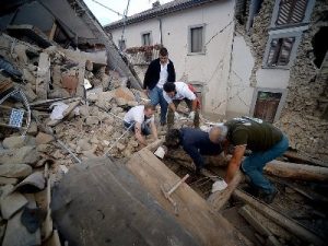 В Италии спустя 16 дней после землетрясения спасли кота Пьетро