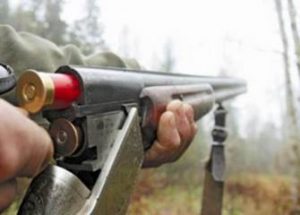 Российские охотники прострелили ягодицу сборщику ягод, испугавшись глаз собаки