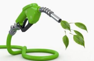 Биотопливо наносит больший вред экологии, чем бензин