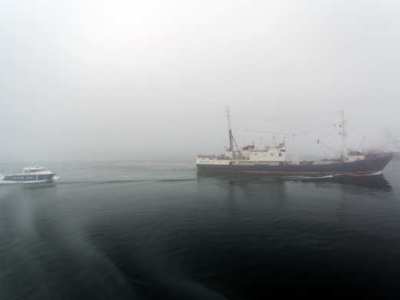 Задержание северокорейского судна российскими пограничниками: есть убитый и раненые