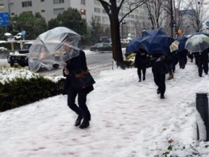 Японский остров Хоккайдо завалило полуметровым слоем снега