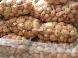 Губернатор: Наши фермеры свободно везут картофель на продажу в Карабах