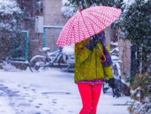 В столице Японии впервые за полвека выпал снег в ноябре