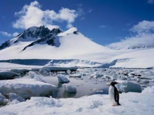 На Северном полюсе температура воздуха превышает норму на 12 градусов
