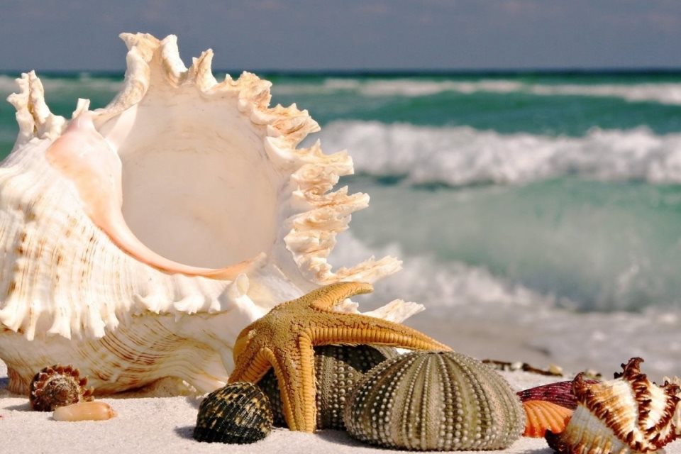 Гиды и экскурсии в Доминикане