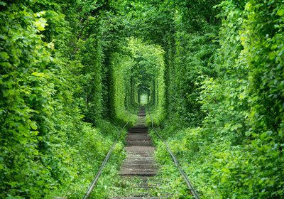 Тоннель любви: почему стоит поехать и как добраться