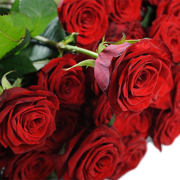 Доставка цветов в Анталью от AnnetFlowers: надежный способ вызвать восхищение