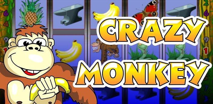 Игровой автомат Crazy Monkey приглашает вас в джунгли