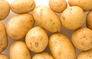 Купить семенной картофель из Голландии и Германии в Украине
