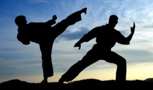 Тренировки различных боевых искусств в Киеве