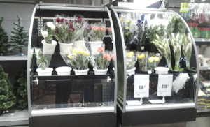 Виды холодильного оборудования для цветов