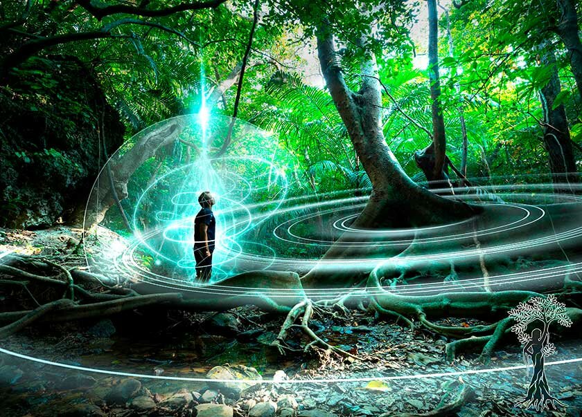 Что едят шаманы: как диетировать для аяваски