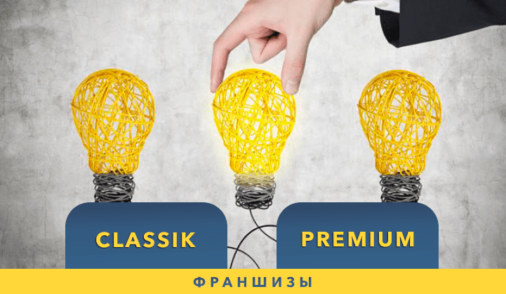 Вид франшиз в транспортной компании «САТ»