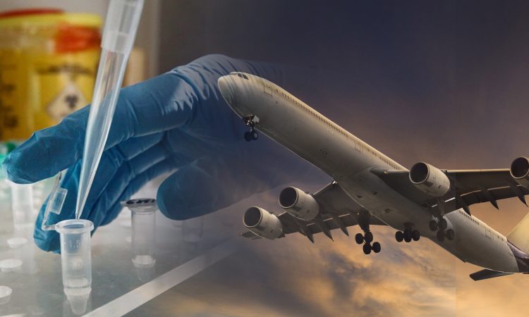 Куда можно полететь из России