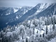 На «Розе Хутор» построят сноупарк