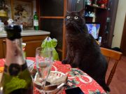 Российскую семью поставили на учет за бокал шампанского подростку на Новый год