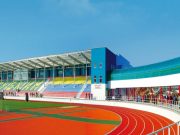 Какие этапы строительства спортивных сооружений