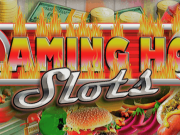 Salsa Technology предлагает платформу для игр Gamzix