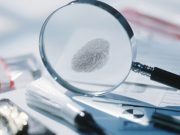 Судебная экспертиза: разновидности и особенности проведения