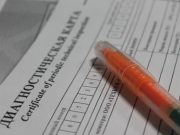 Как проверить подлинность карты техосмотра автомобиля