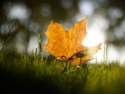 Россиян предупредили о резком похолодании