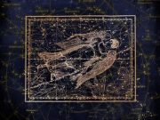 Трем знакам зодиака предрекли несчастья и беды в сентябре