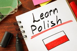 Изучение польского языка с дальнейшим обучением в Польше. Достоинства изучения языка с его носителем