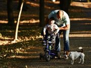 Отцы смогут получить материнский капитал на детей от суррогатных метерей