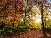 Россиянам назвали сроки возвращения тепла