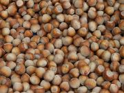 Диетолог рассказала о критически важном элементе для иммунитета