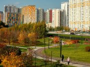 Синоптик предупредил москвичей о рекордной «барической горе»