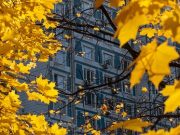 В Москве вступили в силу новые коронавирусные ограничения