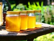 Классификация мёда, интересные факты о продукте