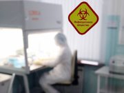 Центр Гамалеи выделил образец штамма «Омикрон»