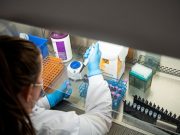 Инфекционист оценил шансы омикрона стать «природной вакциной» от COVID-19