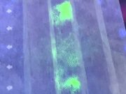 В Японии создали светящуюся при контакте с частицами COVID-19 маску