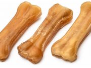 Лакомства для собак: виды, критерии выбора, польза и вред