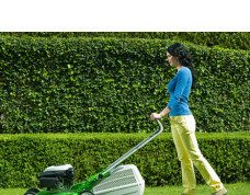 Сломалась газонокосилка – в чем может быть причина