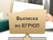 Налоговая выписка ЕГРЮЛ: что это такое?