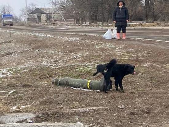 Опрос: более половины словаков в украинском конфликте поддерживают Россию