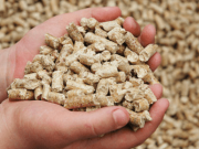 Изготовление кормов и отжима масла: разновидности используемого оборудования?